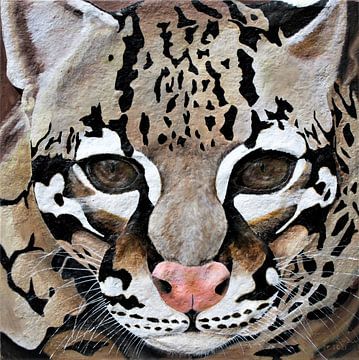 Ocelot van Floris Betrouw