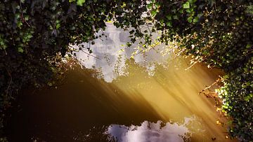 Low sun in the water by Jan van der Knaap