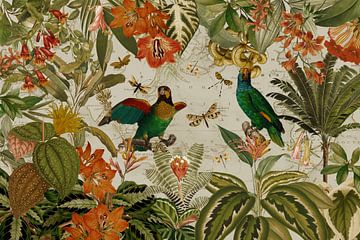 Impressionnant perroquet dans les fleurs tropicales et la jungle de la forêt tropicale sur Floral Abstractions