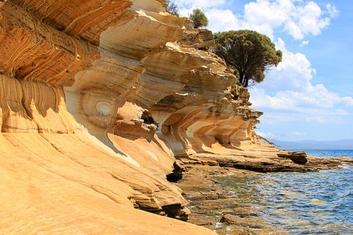 L'île de Maria en Tasmanie