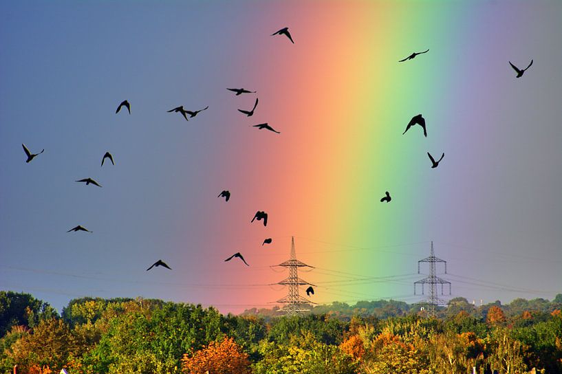 Arc-en-ciel 1 par Edgar Schermaul