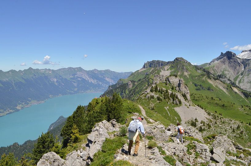 Unterwegs in den Alpen von Rikkie Nitsche