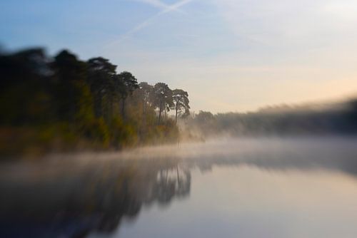 weerspiegeling in de ochtend mist