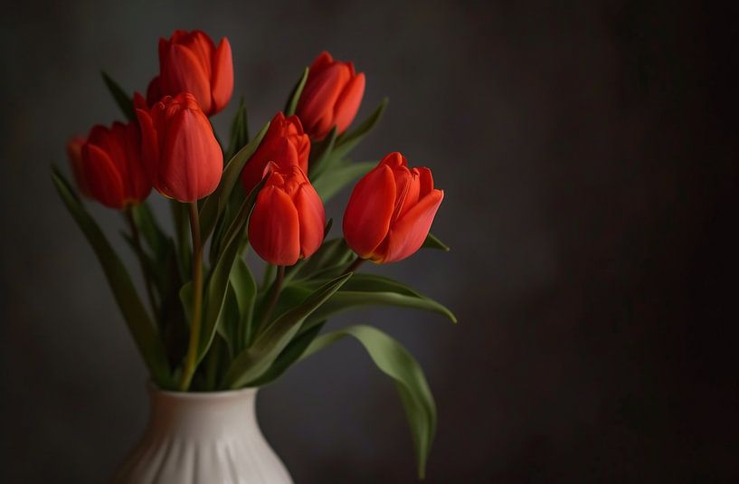 Ästhetisches Stillleben von fernlichtsicht