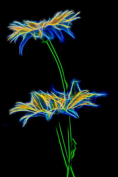 vurige bloem / fire flower van Dick Jeukens