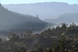 PERU 21