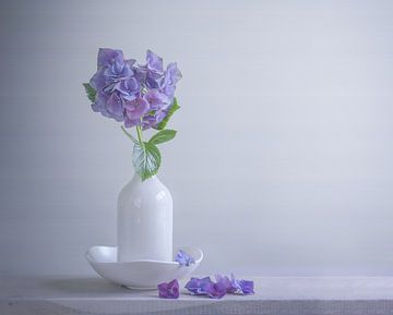 Stilleven met hortensia van Aline Nijland