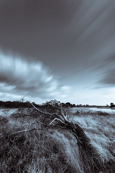 Strabrechtse Heide 296 von Deshamer