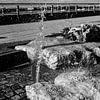 Fontelein along the Rhine - Flowing water in Emmerik by Bart Veeken