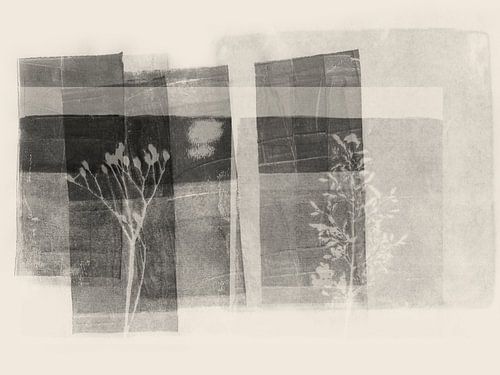 Art botanique sobre — des herbes apaisantes en noir et blanc sur Dina Dankers