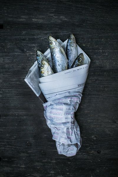 Vissen in de krant van Studio Stiep