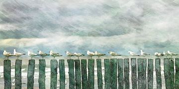 Gulls by Yvonne Blokland