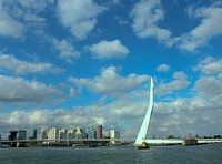 The Bridge of Rotterdam
