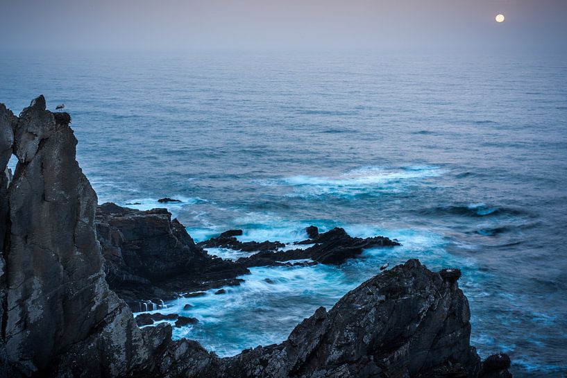 Ooievaar aan de kust van Cabo Sardao von Stijn Smits