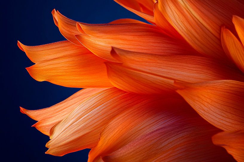 Energy of colour by Poster Art Shop