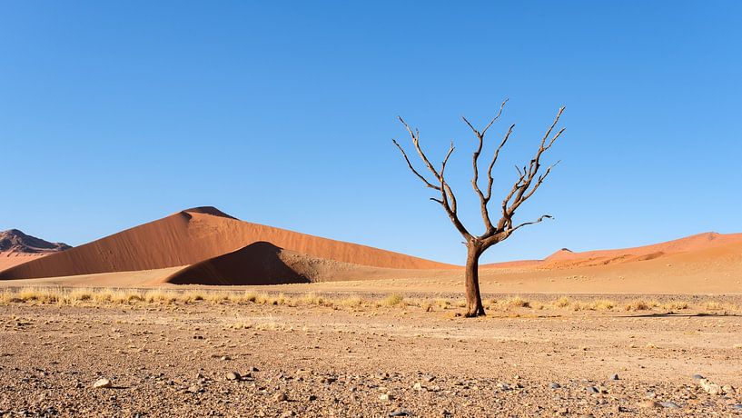 Sossusvlei, minimalistisch landschap van Nicolas Vangansbeke