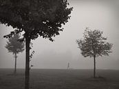 Walk In The Fog von Lena Weisbek Miniaturansicht