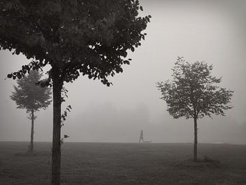 Walk In The Fog van Lena Weisbek