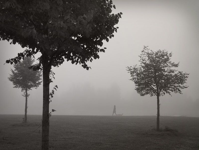 Walk In The Fog von Lena Weisbek