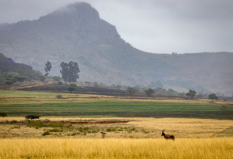 De magnifiques paysages en Afrique du Sud. par Claudio Duarte