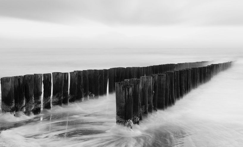 Strandpaaltjes in zwart-wit van Ingrid Van Damme fotografie