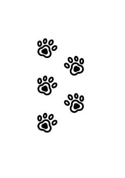 Minimalist Cat Paw Prints – Modern Wall Art
