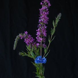 Blumen #7922 von Daan Overkleeft