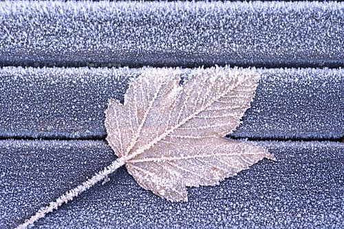 Het laatste blaadje (afscheid)