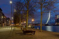 Erasmusbrug