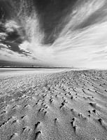 Ameland plage et ciel noir et blanc