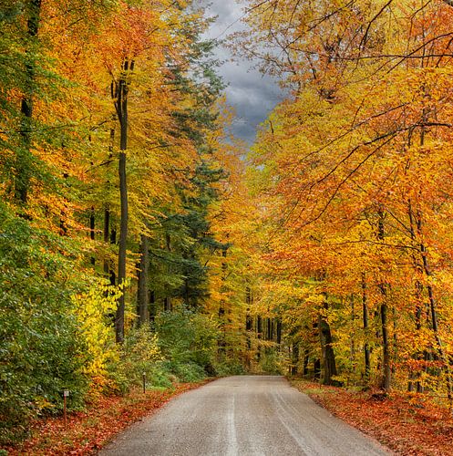 Herfst in Zuid-Limburg