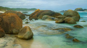 Piscine verte sur Robin Schalk