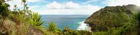 De Na Pali kust van Kauai, Hawaii in panorama van iPics Photography thumbnail