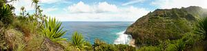 Na Pali-Küste in Kauai im Panorama