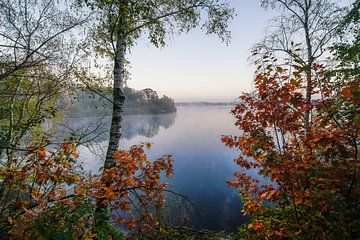 Reindersmeer, natuurgebied in Limburg