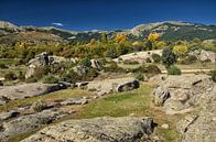 Parque regional de la Cuenca Alta del Manzanares von Iris Heuer Miniaturansicht