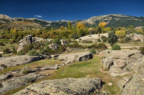Parque regional de la Cuenca Alta del Manzanares von Iris Heuer