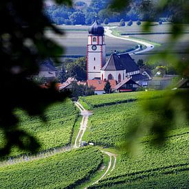 Pfaffenweiler winegrowing village in the Markgräflerland region by Ingo Laue