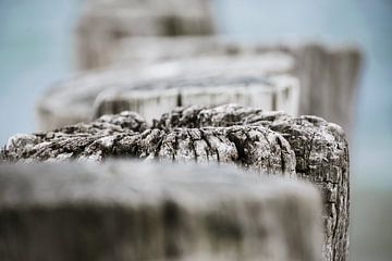 Bollards at Sea by Caroline Drijber