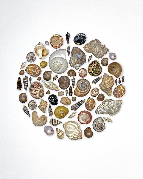 Schnecken im Kreis von Anneliese Grünwald-Märkl