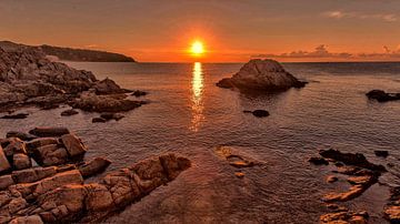 Lloret de Mar - Spanien von Dries van Assen