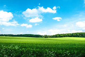 Weite, Landschaft, am Berg 2