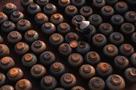 The craft of soy sauce in Ban Yen Nha the soy sauce village in northern Vietnam by Anouk Sassen thumbnail
