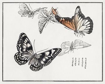 Morimoto Toko - Butterflies by Creativity Building