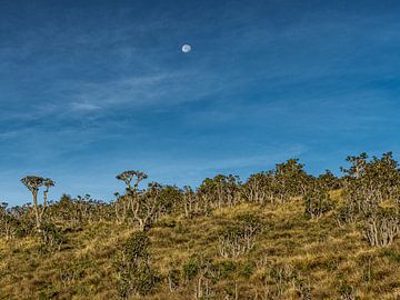 La lune au-dessus de la plaine de Horton sur Henk Goossens
