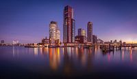 Panorama Kop van Zuid vanaf Rijnhaven van Ronne Vinkx thumbnail
