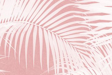 Palmbladeren op roze silhouet IV van amini54