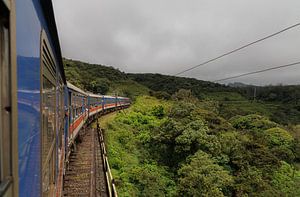 Zugreisen in Sri Lanka gehören zu den schönsten der Welt - insbesondere die Strecke von Kandy nach Ella.