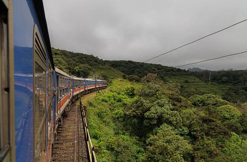 Train travel in Sri Lanka is among the most beautiful in the world - especially the route from Kandy to Ella.