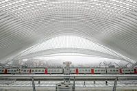 Trein in station Luik